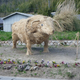 Illustration for article titled Japan's Straw Beasts Are Huge, Wonderful, and Highly Flammable